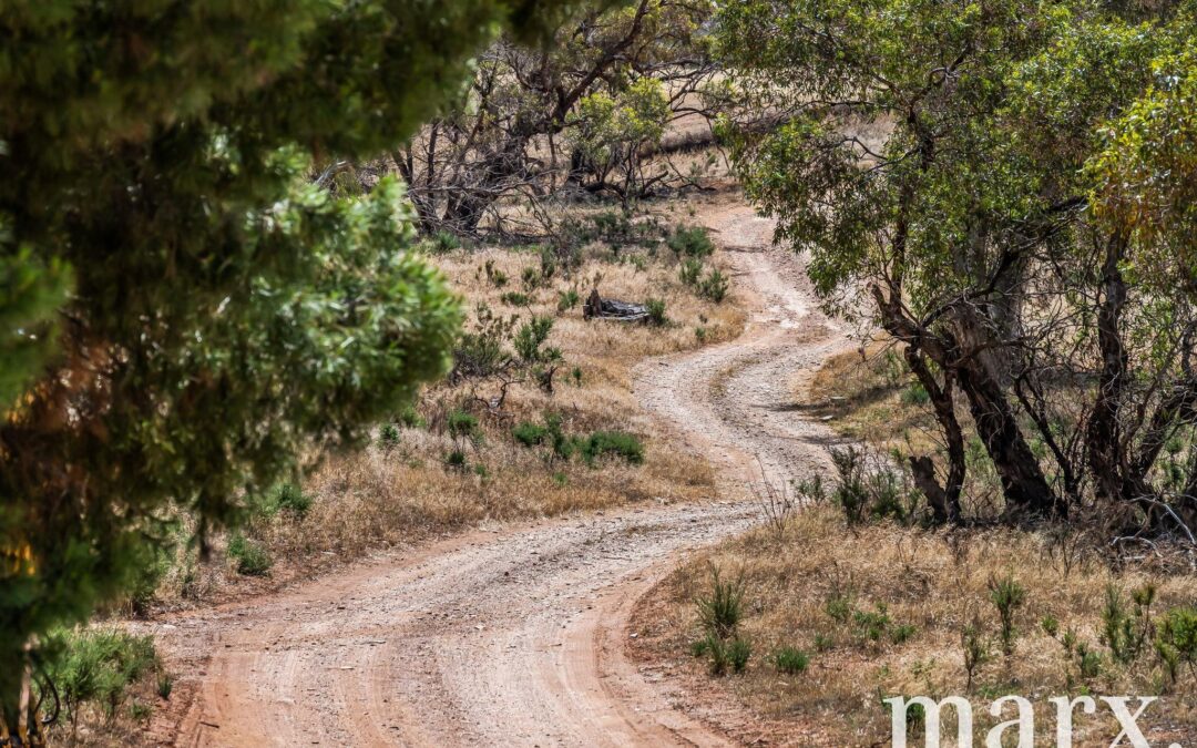 94 Robertson Road, TOWITTA, SA 5353 AUS