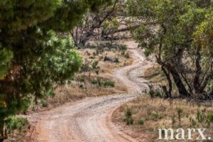 94 Robertson Road, TOWITTA, SA 5353 AUS