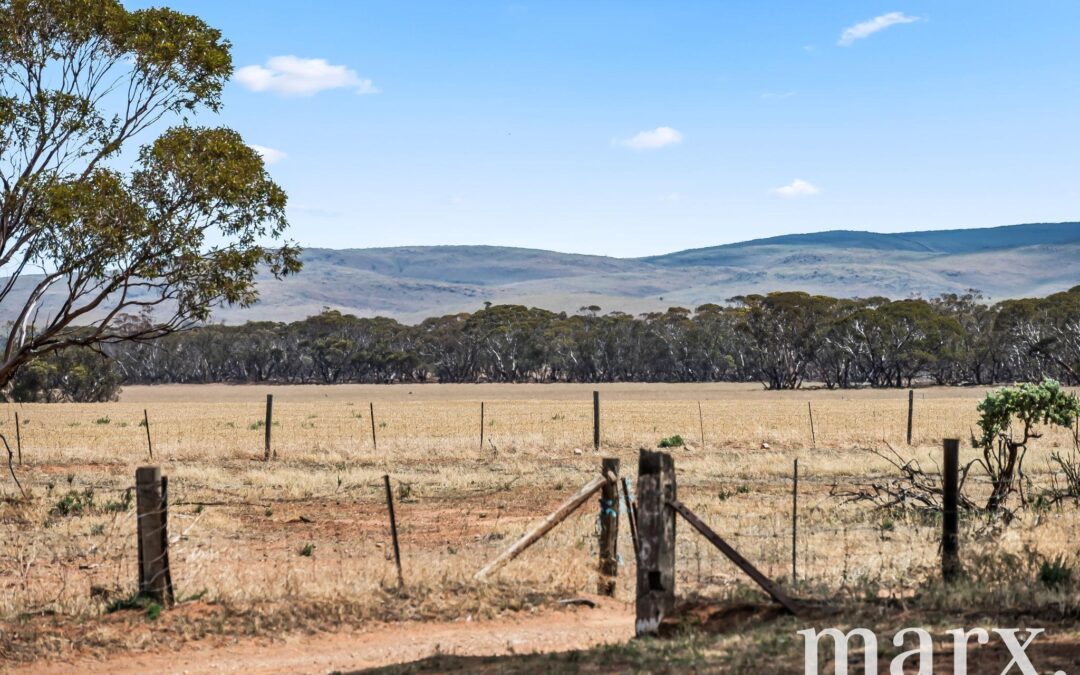 94 Robertson Road, TOWITTA, SA 5353 AUS