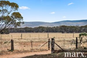 94 Robertson Road, TOWITTA, SA 5353 AUS