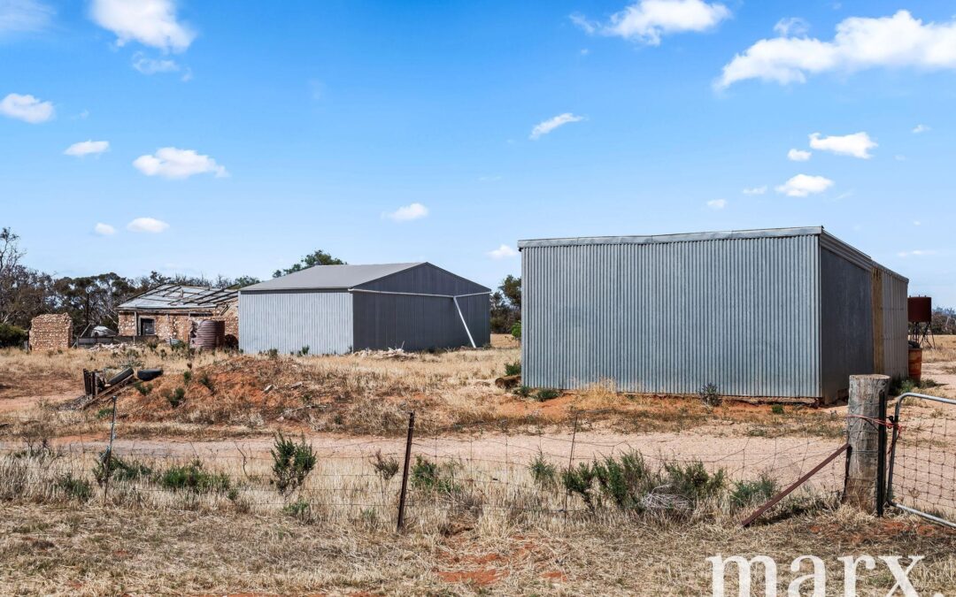 94 Robertson Road, TOWITTA, SA 5353 AUS