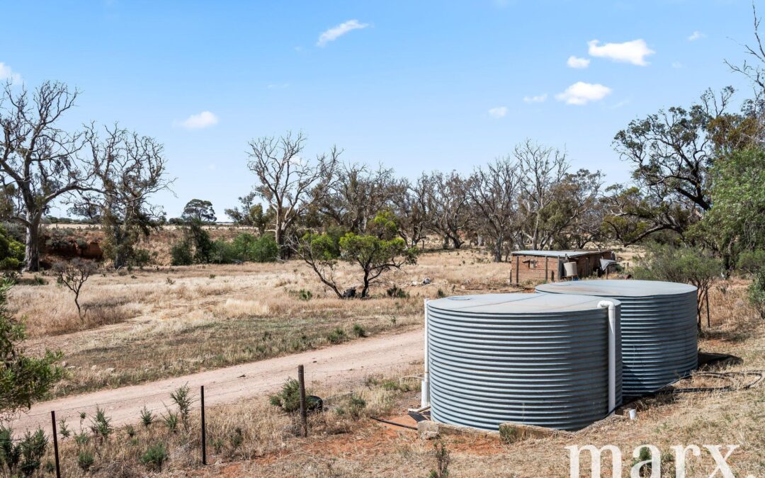 94 Robertson Road, TOWITTA, SA 5353 AUS