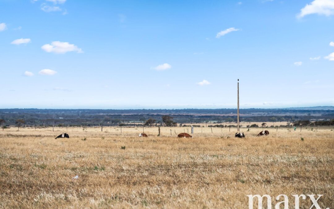 94 Robertson Road, TOWITTA, SA 5353 AUS