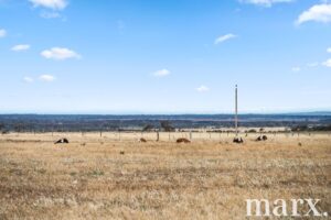 94 Robertson Road, TOWITTA, SA 5353 AUS