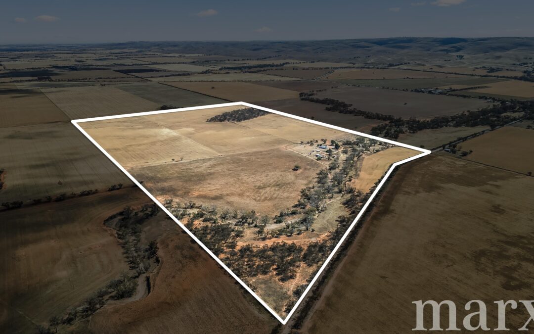 94 Robertson Road, TOWITTA, SA 5353 AUS