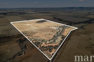 94 Robertson Road, TOWITTA, SA 5353 AUS