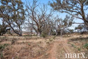 94 Robertson Road, TOWITTA, SA 5353 AUS