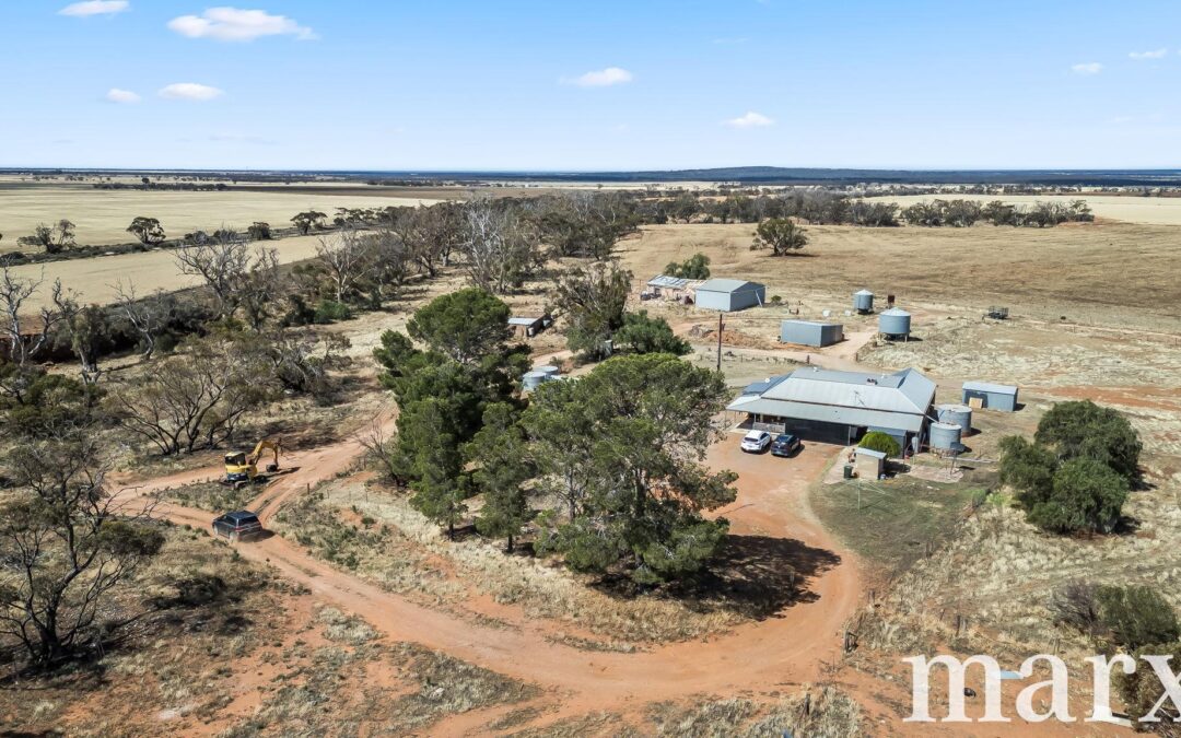 94 Robertson Road, TOWITTA, SA 5353 AUS