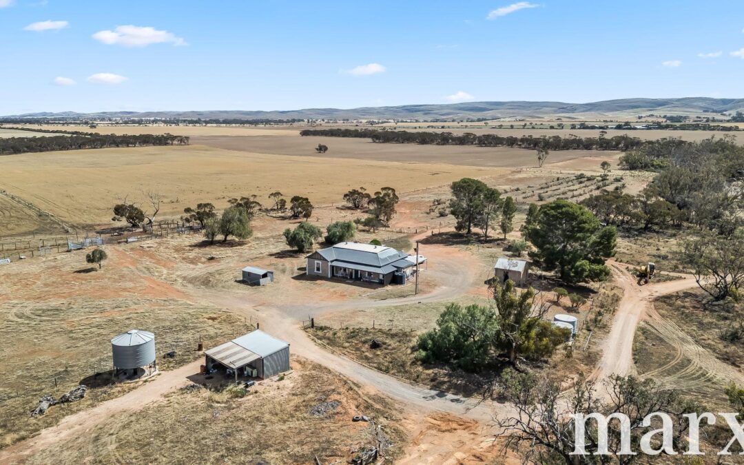 94 Robertson Road, TOWITTA, SA 5353 AUS