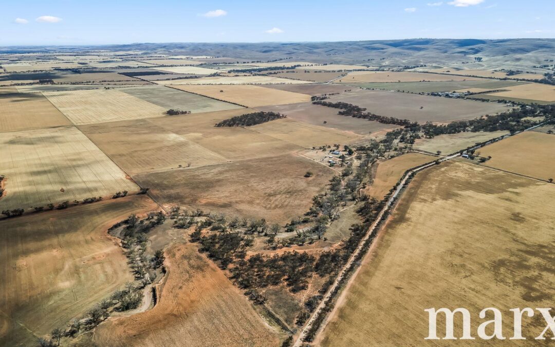 94 Robertson Road, TOWITTA, SA 5353 AUS