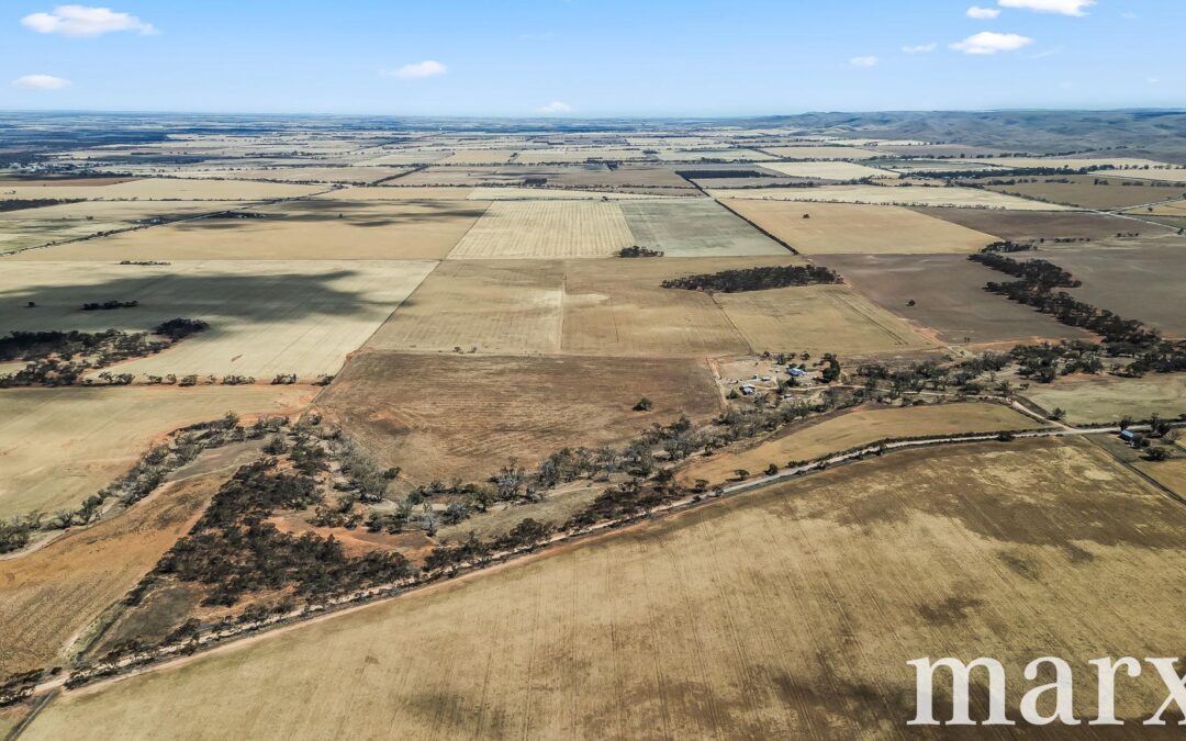 94 Robertson Road, TOWITTA, SA 5353 AUS