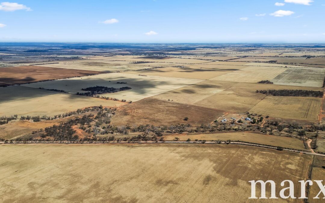 94 Robertson Road, TOWITTA, SA 5353 AUS