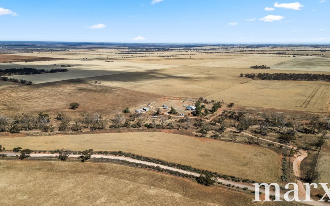 94 Robertson Road, TOWITTA, SA 5353 AUS