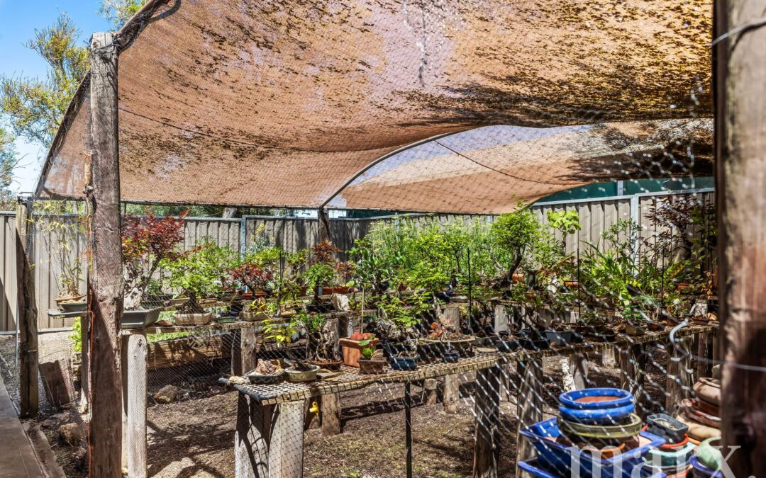 15 Anton Street, ANGASTON, SA 5353 AUS