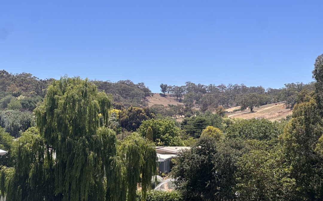 13 Gransbury Court, ANGASTON, SA 5353 AUS