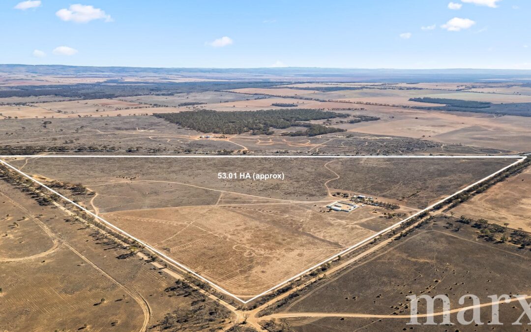 Lot 173 Halfway House Road, SEDAN, SA 5353 AUS