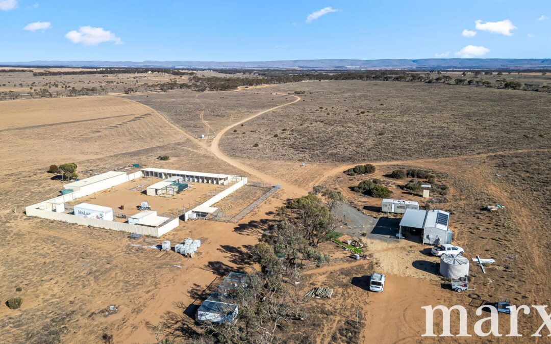 Lot 173 Halfway House Road, SEDAN, SA 5353 AUS