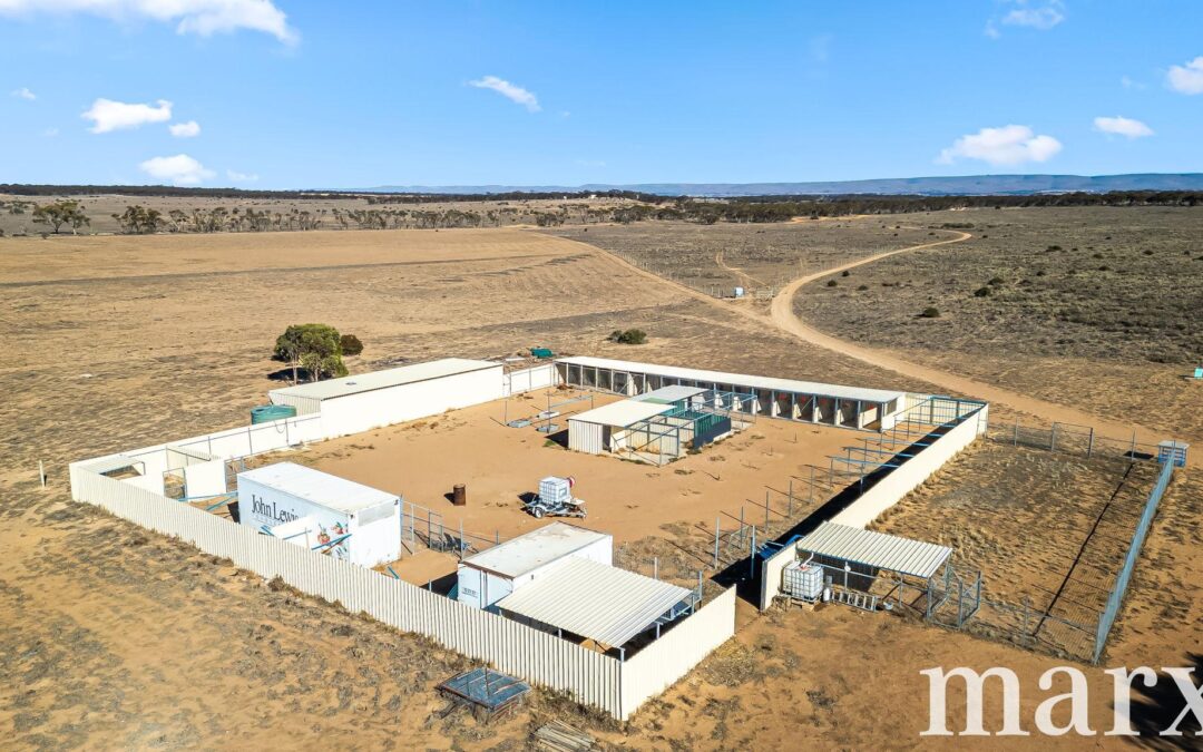 Lot 173 Halfway House Road, SEDAN, SA 5353 AUS