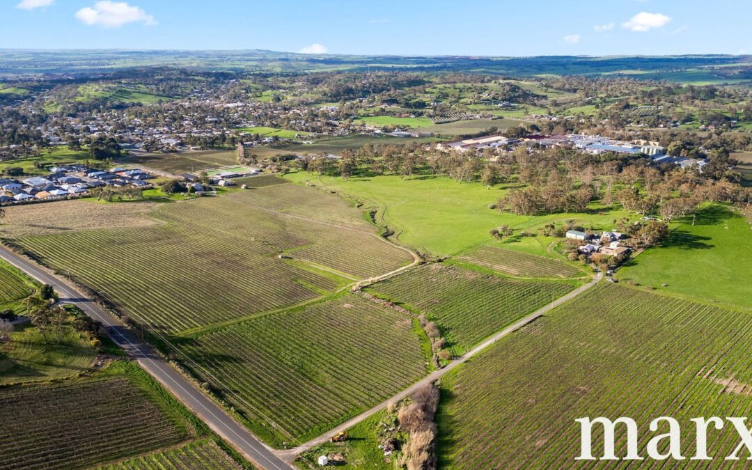 137 Radford Road, ANGASTON, SA 5353 AUS