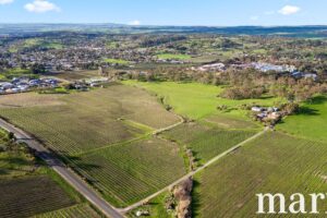 137 Radford Road, ANGASTON, SA 5353 AUS