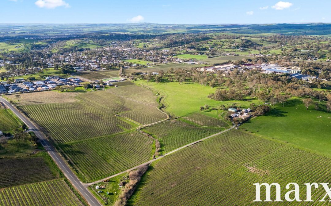 137 Radford Road, ANGASTON, SA 5353 AUS