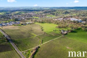 137 Radford Road, ANGASTON, SA 5353 AUS