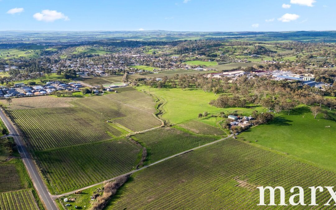 137 Radford Road, ANGASTON, SA 5353 AUS