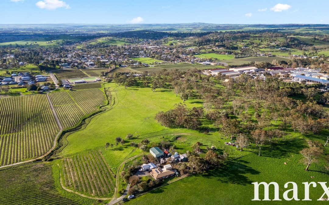 137 Radford Road, ANGASTON, SA 5353 AUS