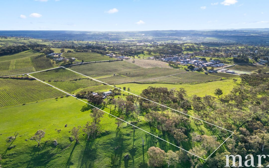 137 Radford Road, ANGASTON, SA 5353 AUS