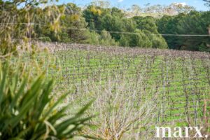 137 Radford Road, ANGASTON, SA 5353 AUS