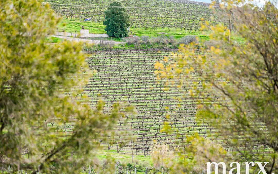 137 Radford Road, ANGASTON, SA 5353 AUS