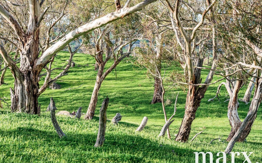 137 Radford Road, ANGASTON, SA 5353 AUS