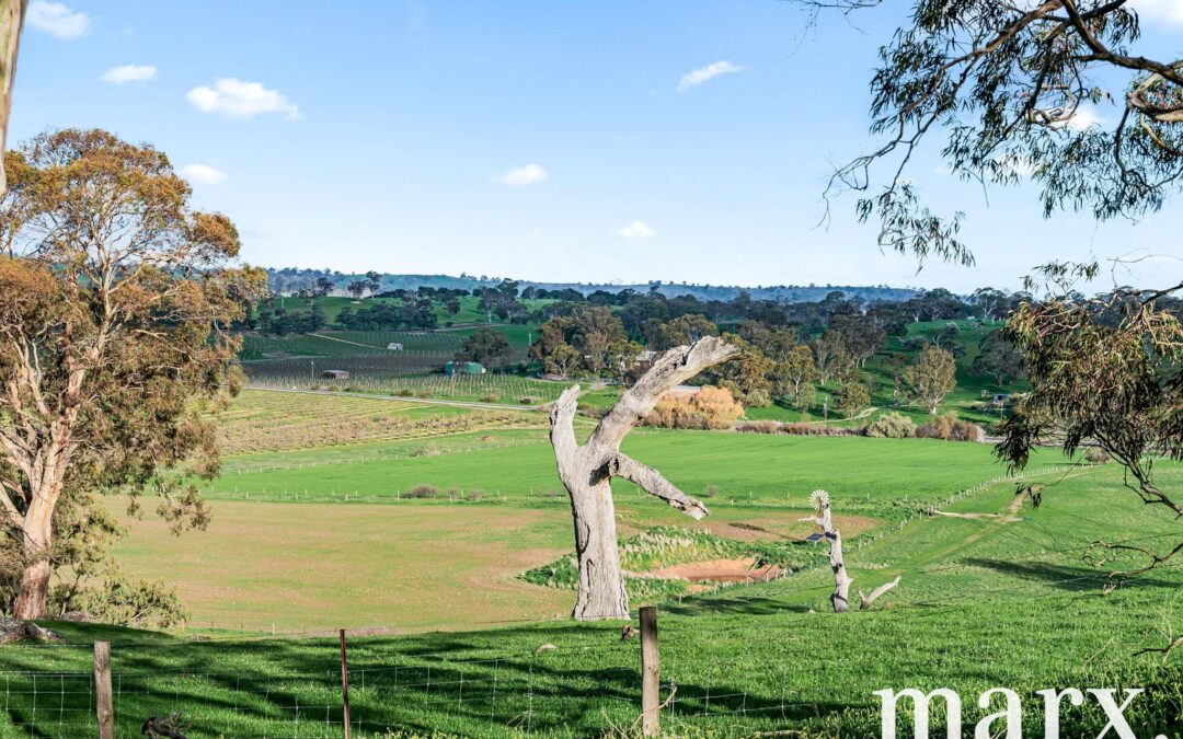 137 Radford Road, ANGASTON, SA 5353 AUS