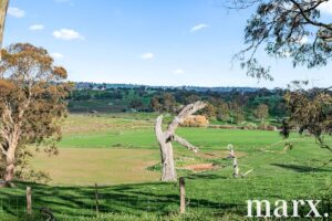 137 Radford Road, ANGASTON, SA 5353 AUS