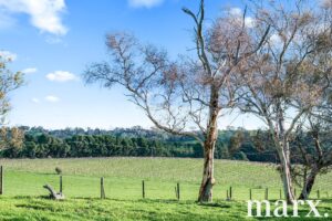 137 Radford Road, ANGASTON, SA 5353 AUS