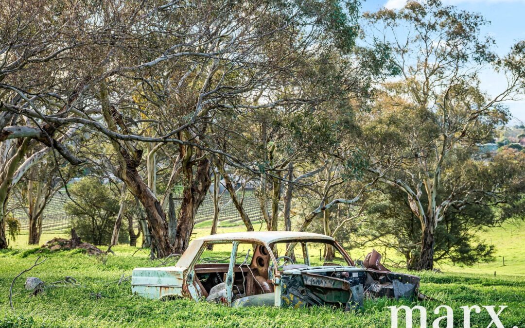 137 Radford Road, ANGASTON, SA 5353 AUS