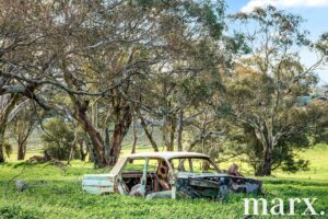 137 Radford Road, ANGASTON, SA 5353 AUS