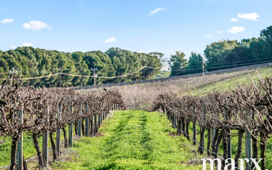 137 Radford Road, ANGASTON, SA 5353 AUS