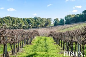 137 Radford Road, ANGASTON, SA 5353 AUS