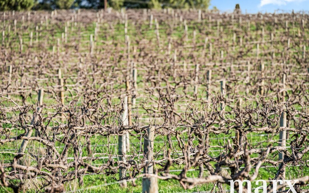 137 Radford Road, ANGASTON, SA 5353 AUS