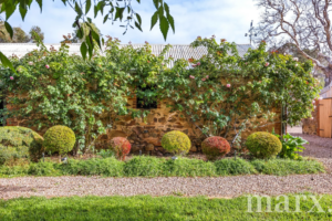 210 Willows Road, LIGHT PASS, SA 5355 AUS