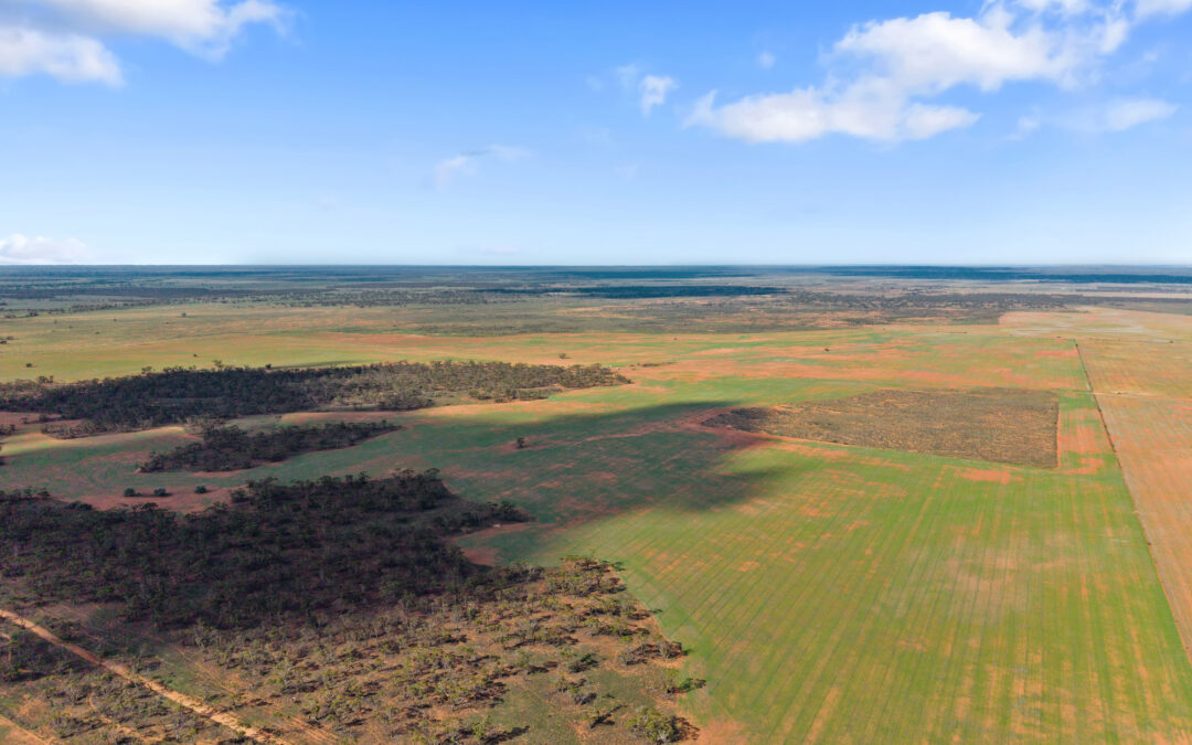 Lot 19 Three Chain Road, TRURO, SA 5356 AUS