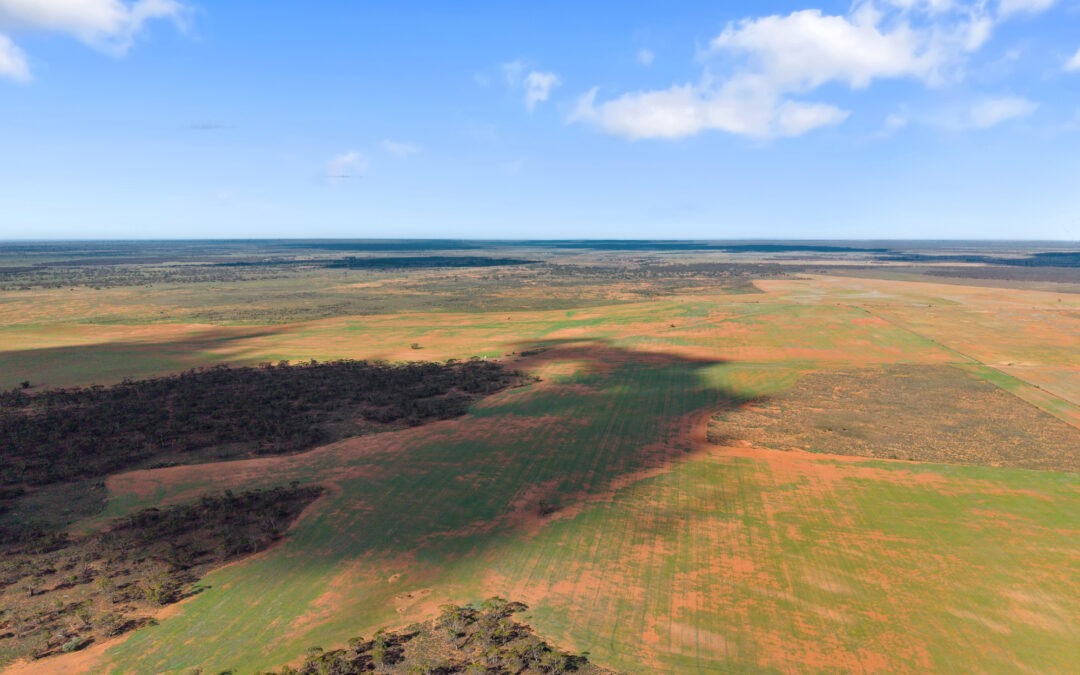 Lot 19 Three Chain Road, TRURO, SA 5356 AUS