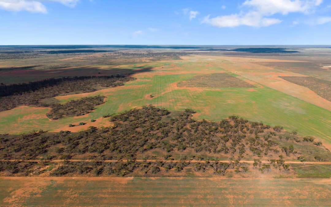 Lot 19 Three Chain Road, TRURO, SA 5356 AUS