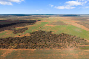 Lot 19 Three Chain Road, TRURO, SA 5356 AUS