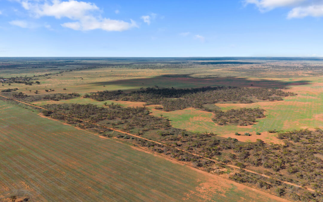 Lot 19 Three Chain Road, TRURO, SA 5356 AUS