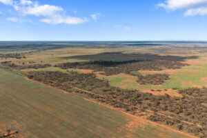 Lot 19 Three Chain Road, TRURO, SA 5356 AUS