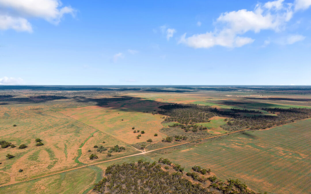 Lot 19 Three Chain Road, TRURO, SA 5356 AUS