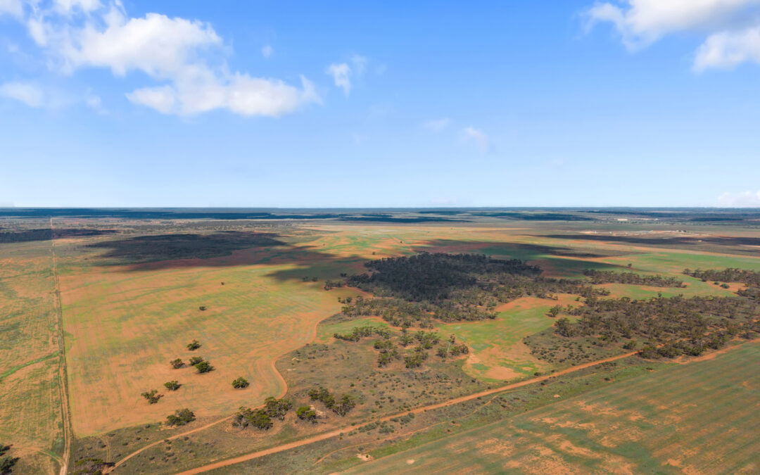 Lot 19 Three Chain Road, TRURO, SA 5356 AUS