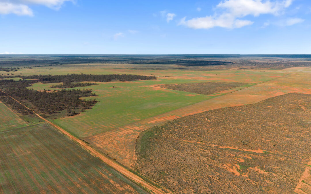 Lot 19 Three Chain Road, TRURO, SA 5356 AUS